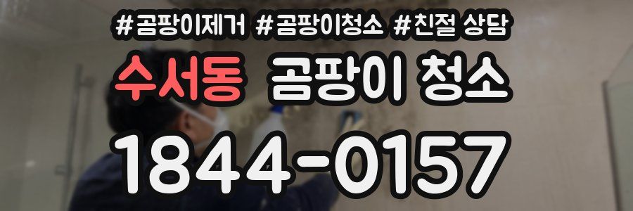 수서동 곰팡이 청소