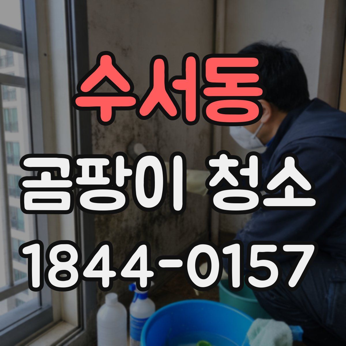 수서동 곰팡이 청소