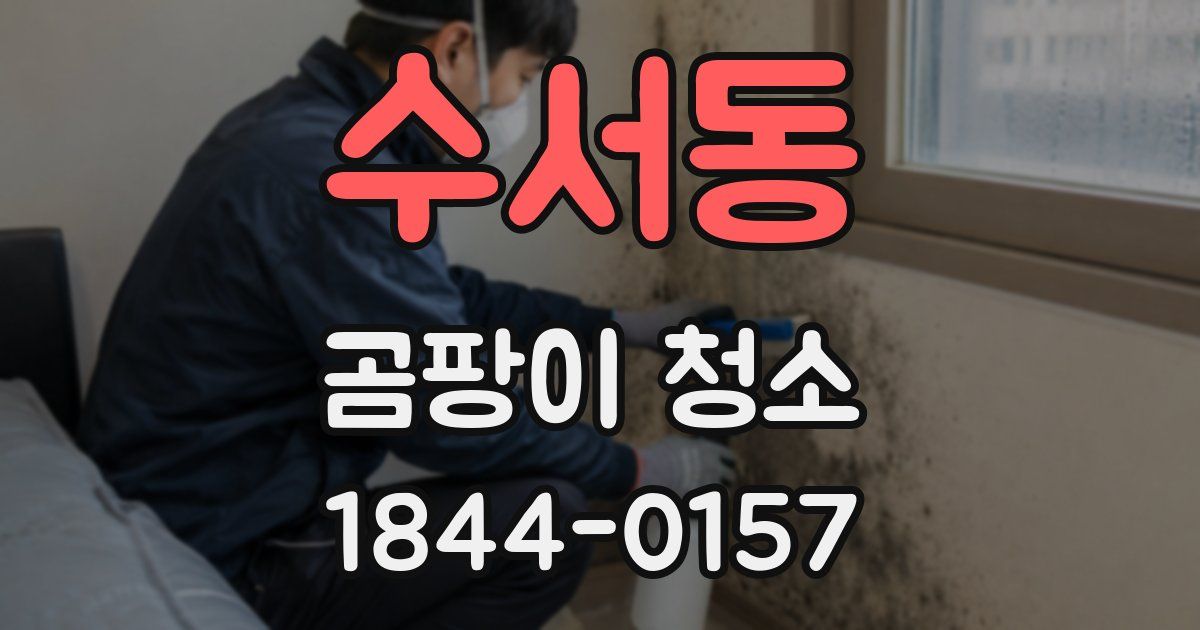 수서동 곰팡이 청소