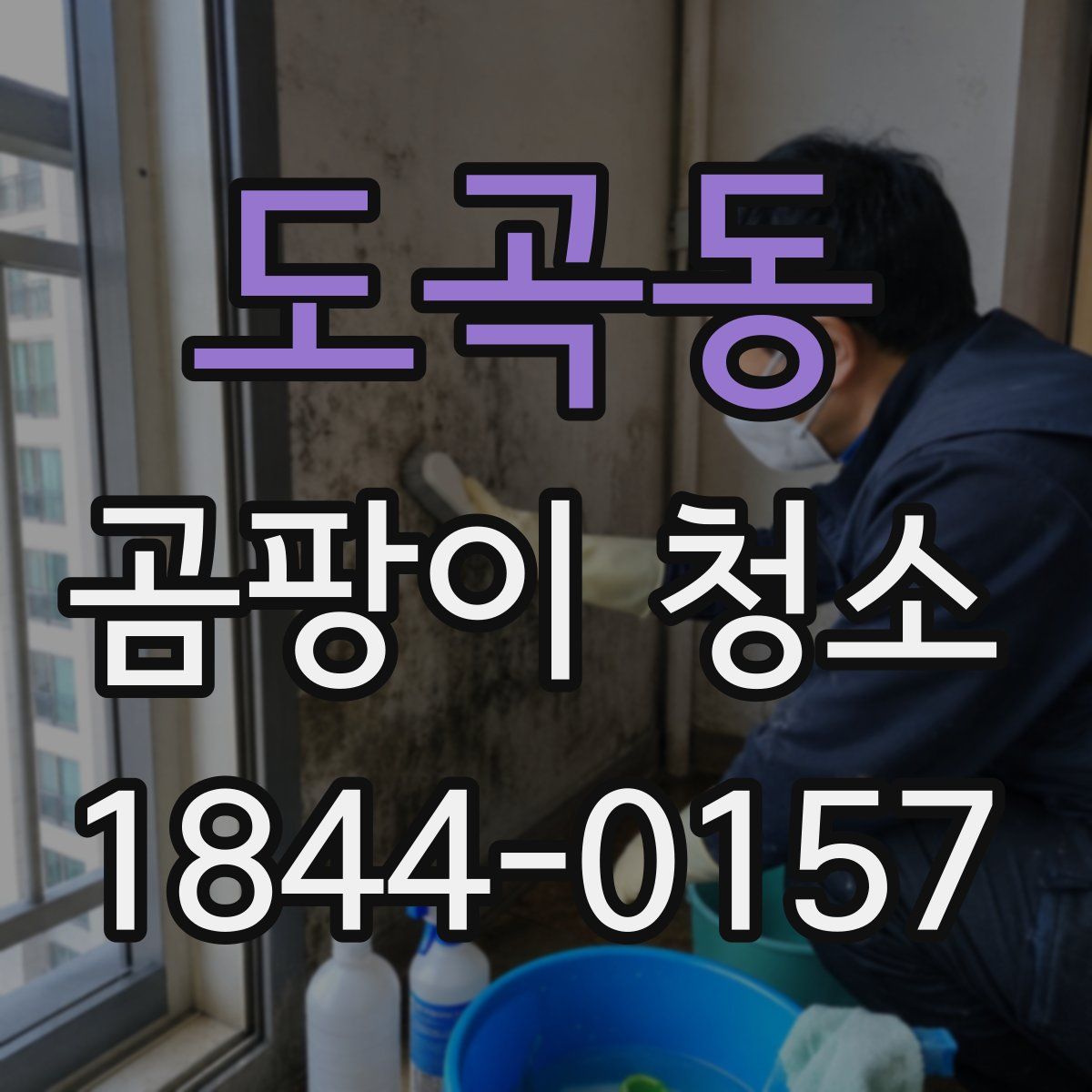 도곡동 곰팡이 청소
