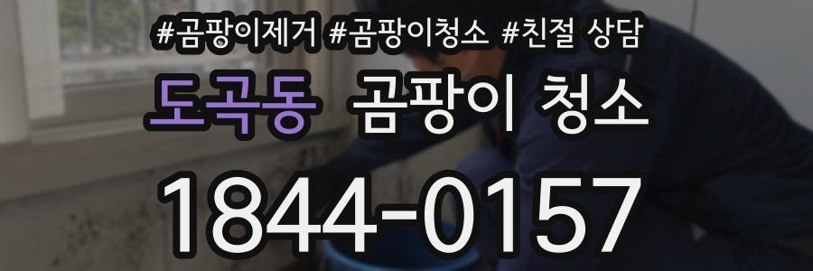 도곡동 곰팡이 청소
