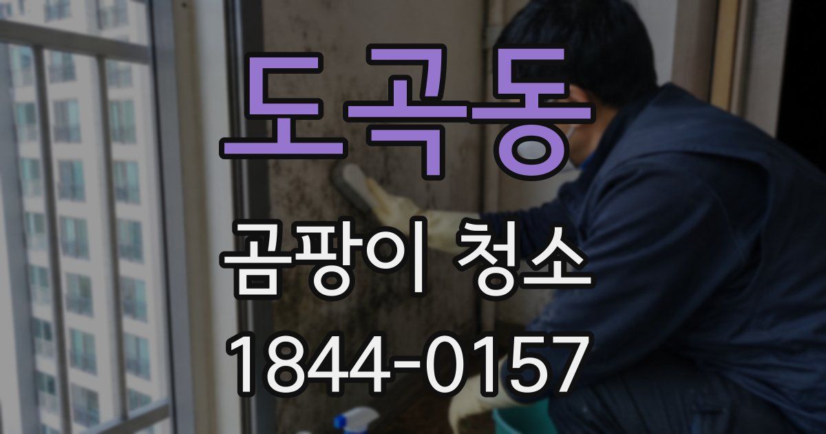 도곡동 곰팡이 청소