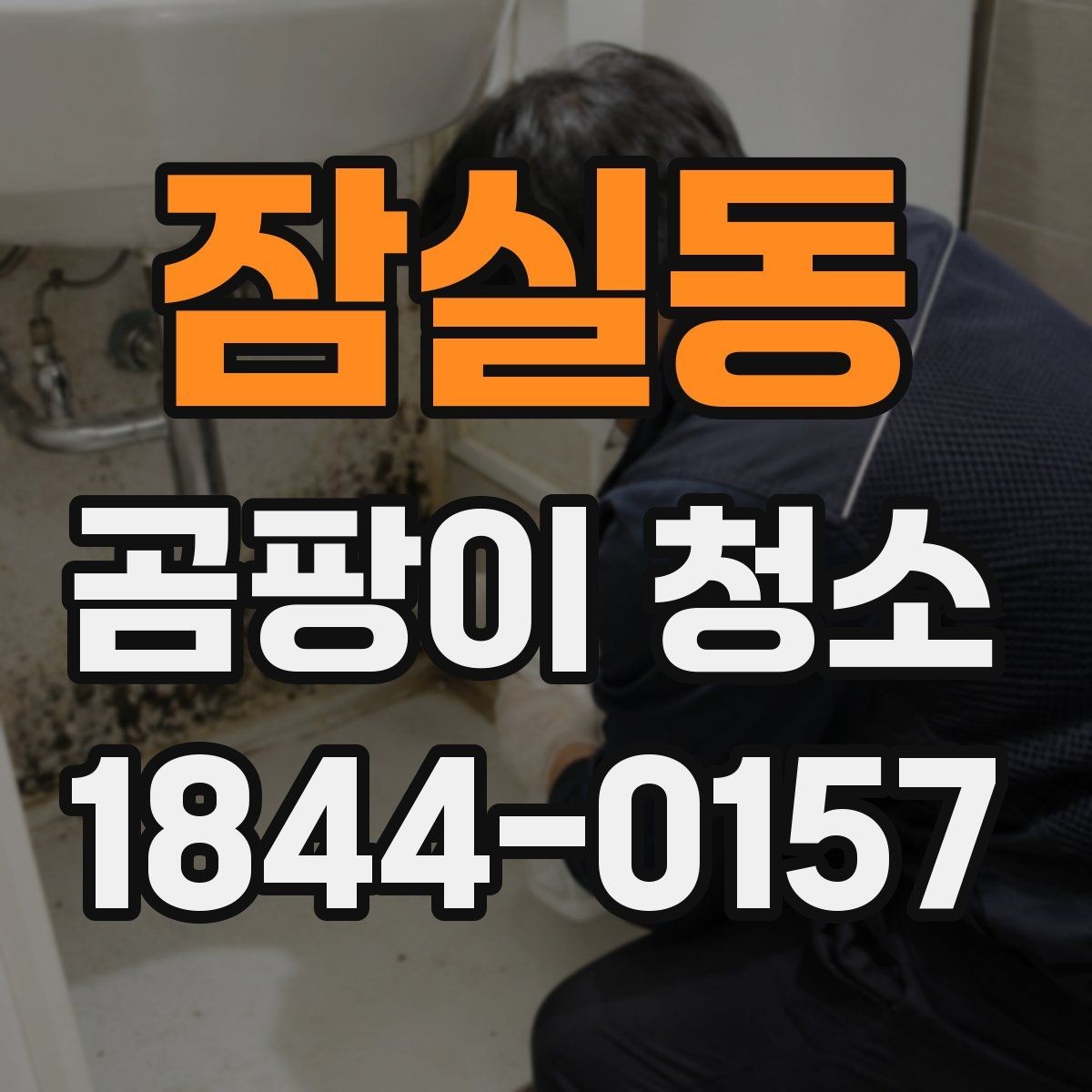 잠실동 곰팡이 청소 시 확인해야 할 기준