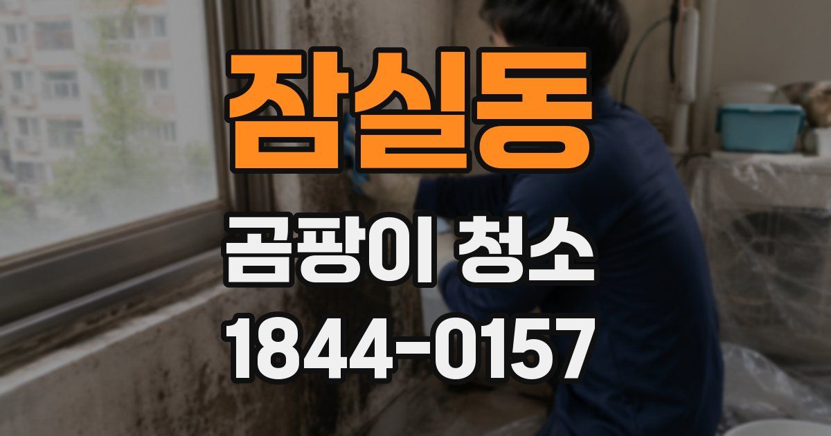 잠실동 곰팡이 청소