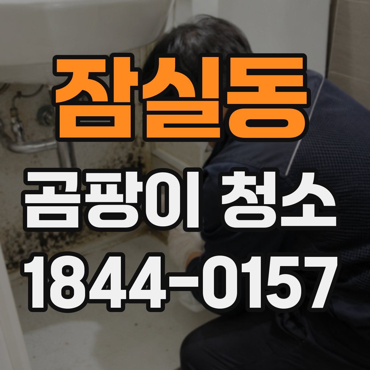 잠실동 곰팡이 청소