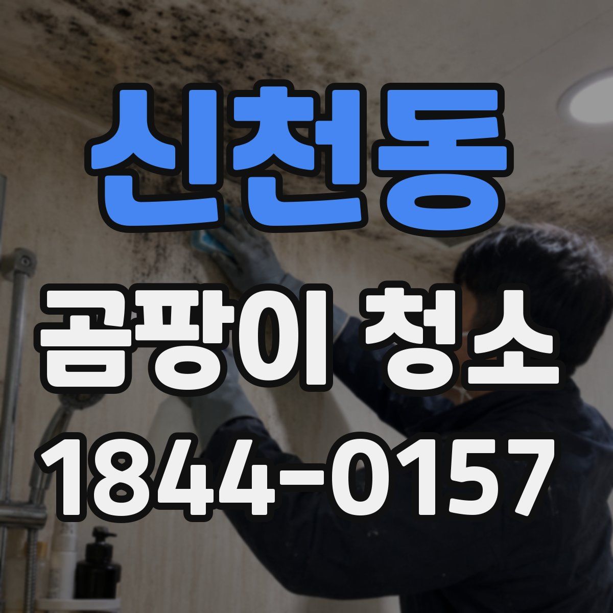 신천동 곰팡이 청소