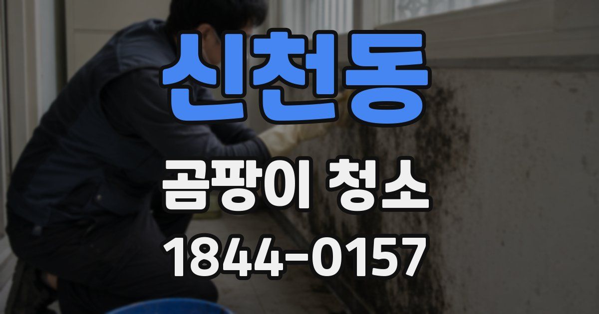 신천동 곰팡이 청소