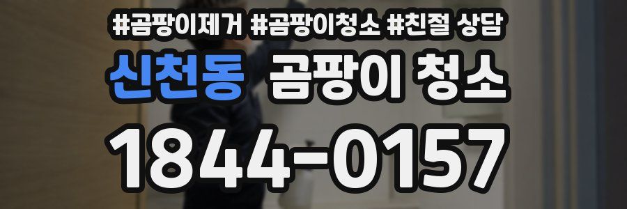 신천동 곰팡이 청소