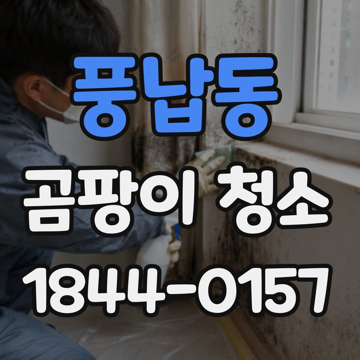 풍납동 곰팡이 청소