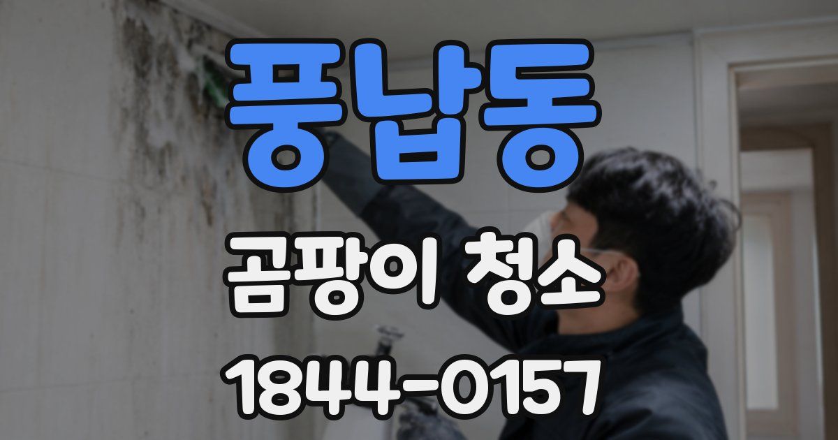 풍납동 곰팡이 청소
