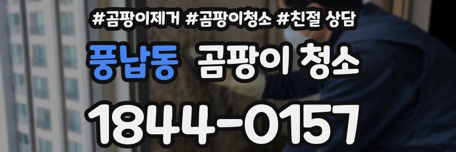 풍납동 곰팡이 청소
