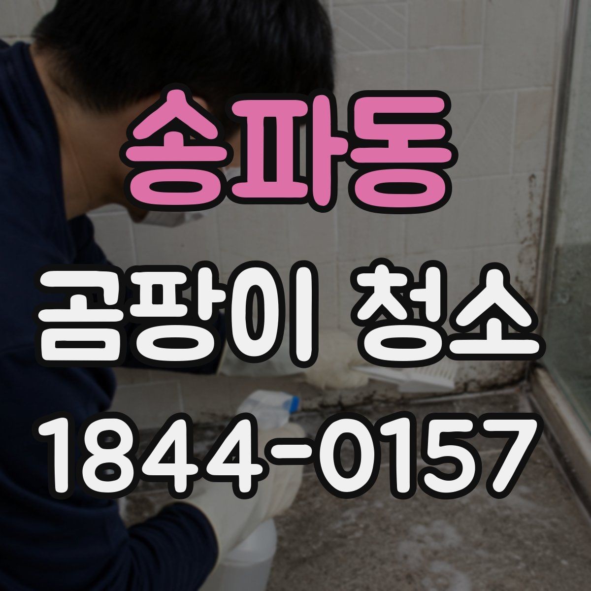 송파동 곰팡이 청소 전후 관리가 중요한 이유