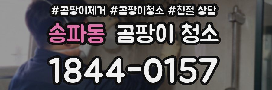 송파동 곰팡이 청소