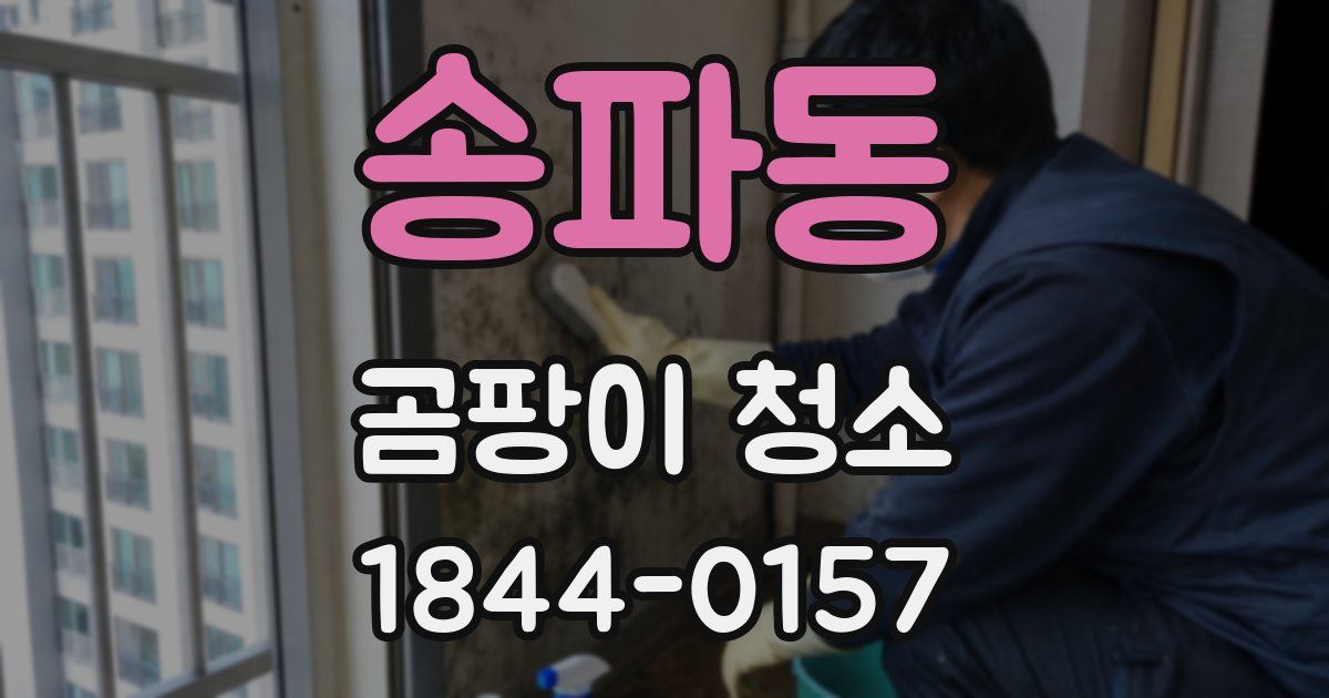 송파동 곰팡이 청소
