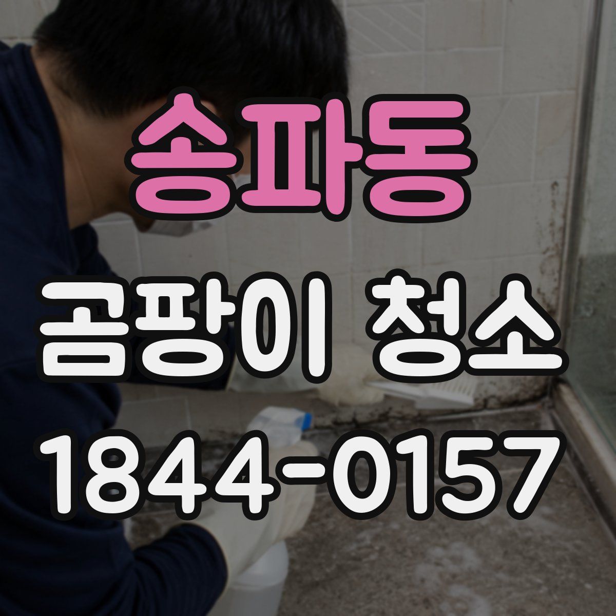 송파동 곰팡이 청소