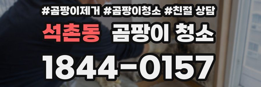 석촌동 곰팡이 청소