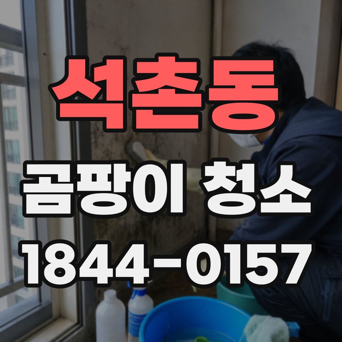 석촌동 곰팡이 청소