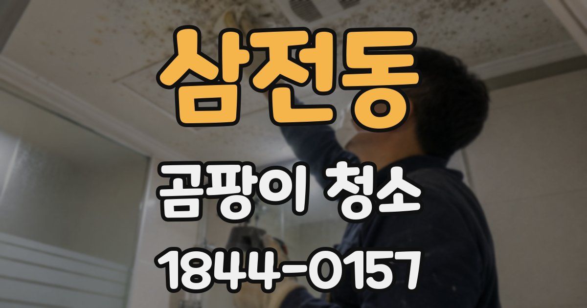 삼전동 곰팡이 청소