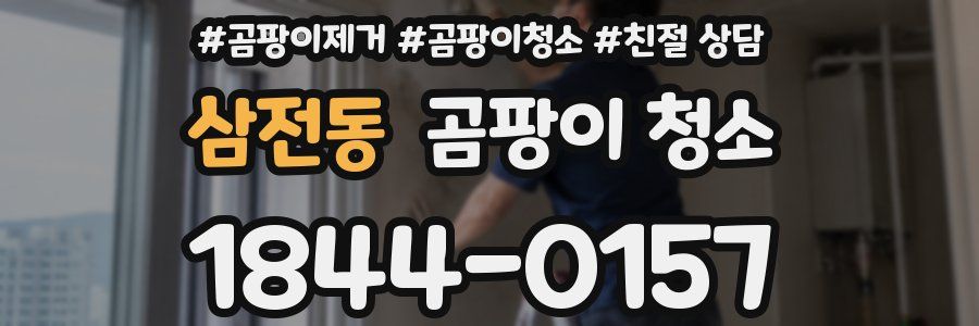 삼전동 곰팡이 청소