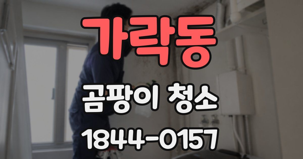 가락동 곰팡이 청소