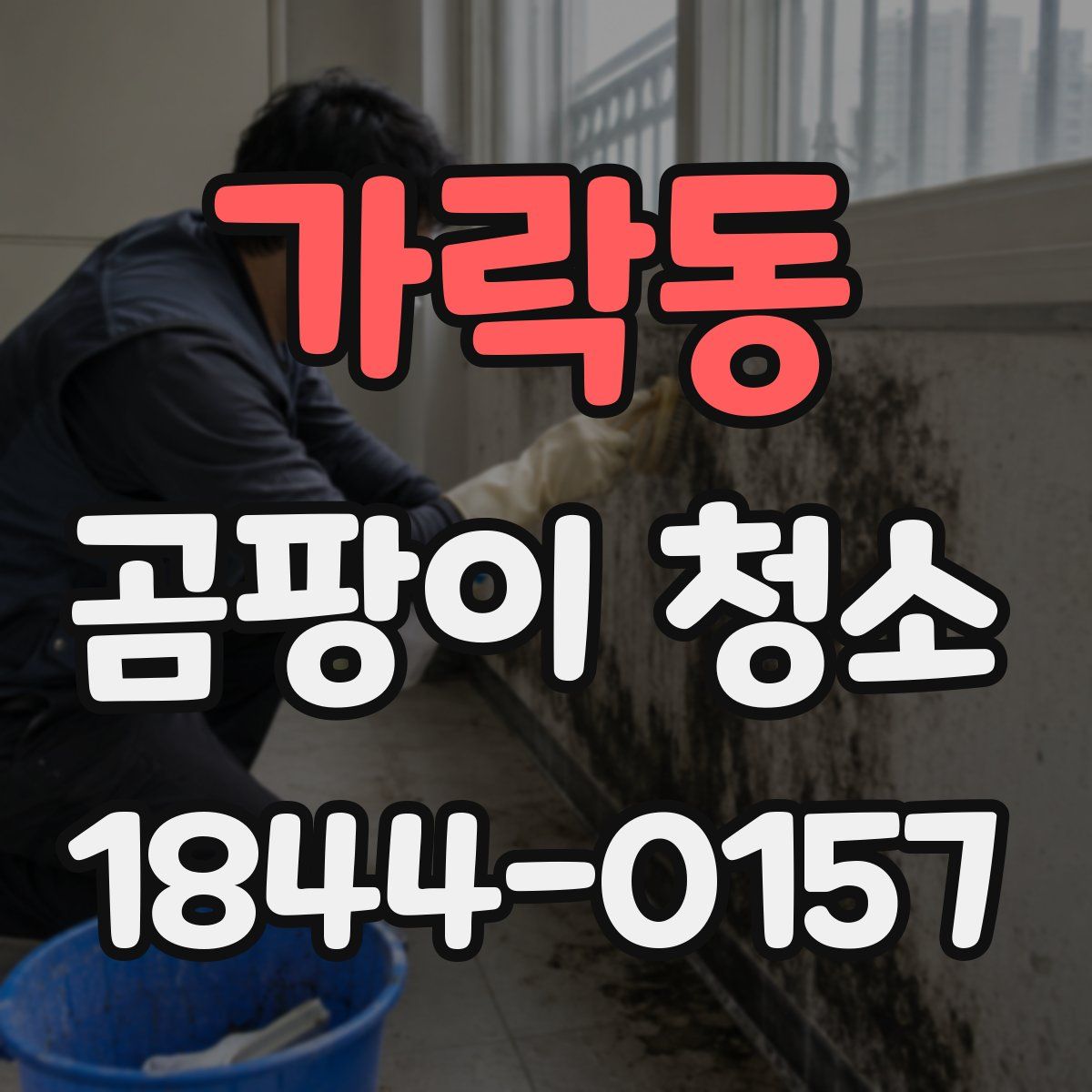 가락동 곰팡이 청소
