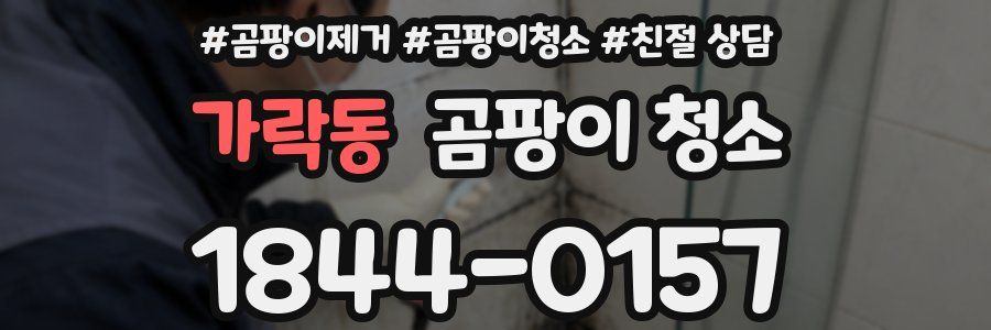 가락동 곰팡이 청소