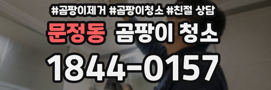 문정동 곰팡이 청소