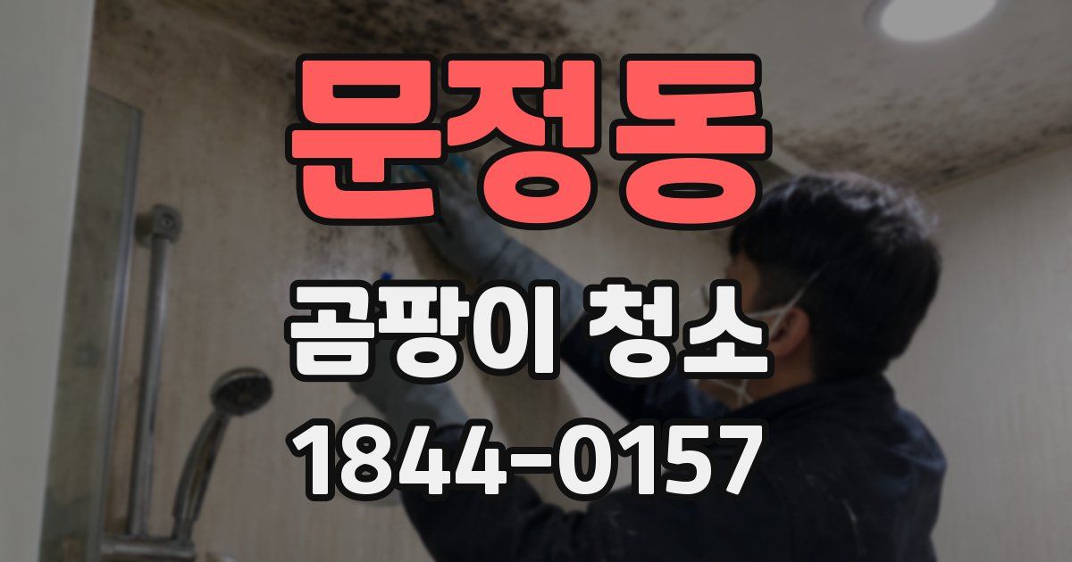 문정동 곰팡이 청소