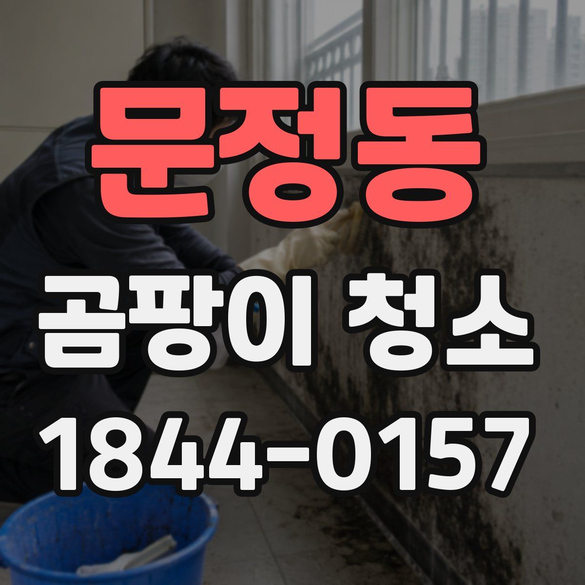 문정동 곰팡이 청소