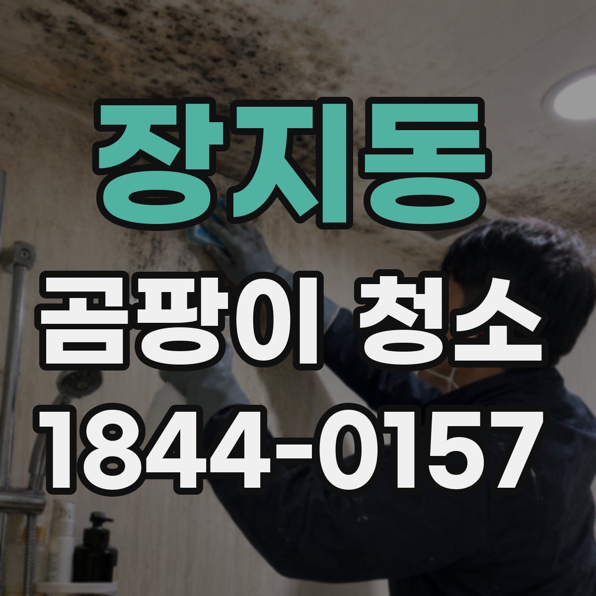 장지동 곰팡이 청소