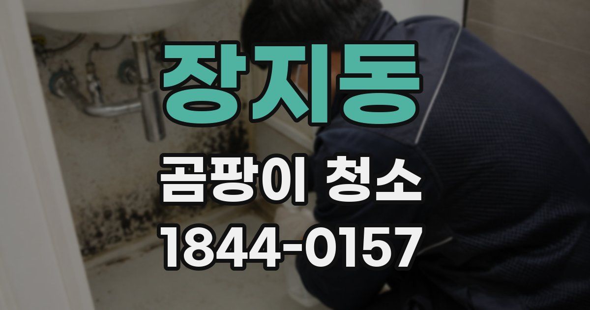 장지동 곰팡이 청소