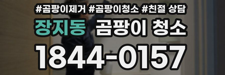 장지동 곰팡이 청소