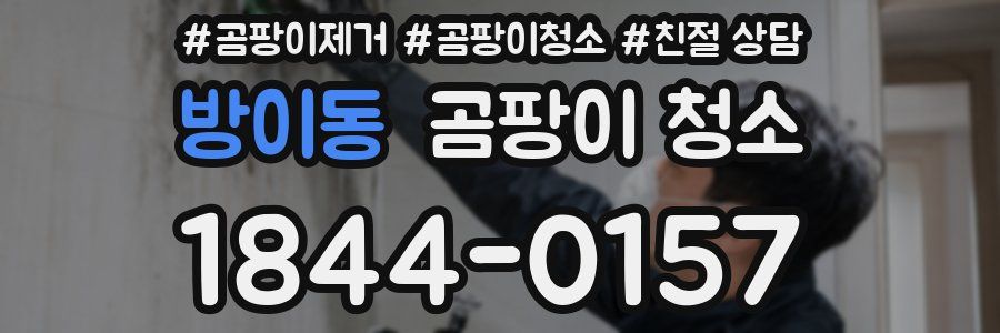 방이동 곰팡이 청소