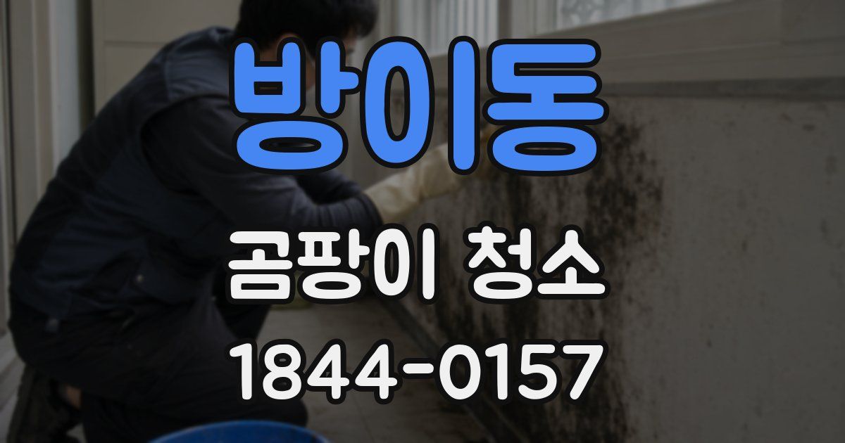 방이동 곰팡이 청소