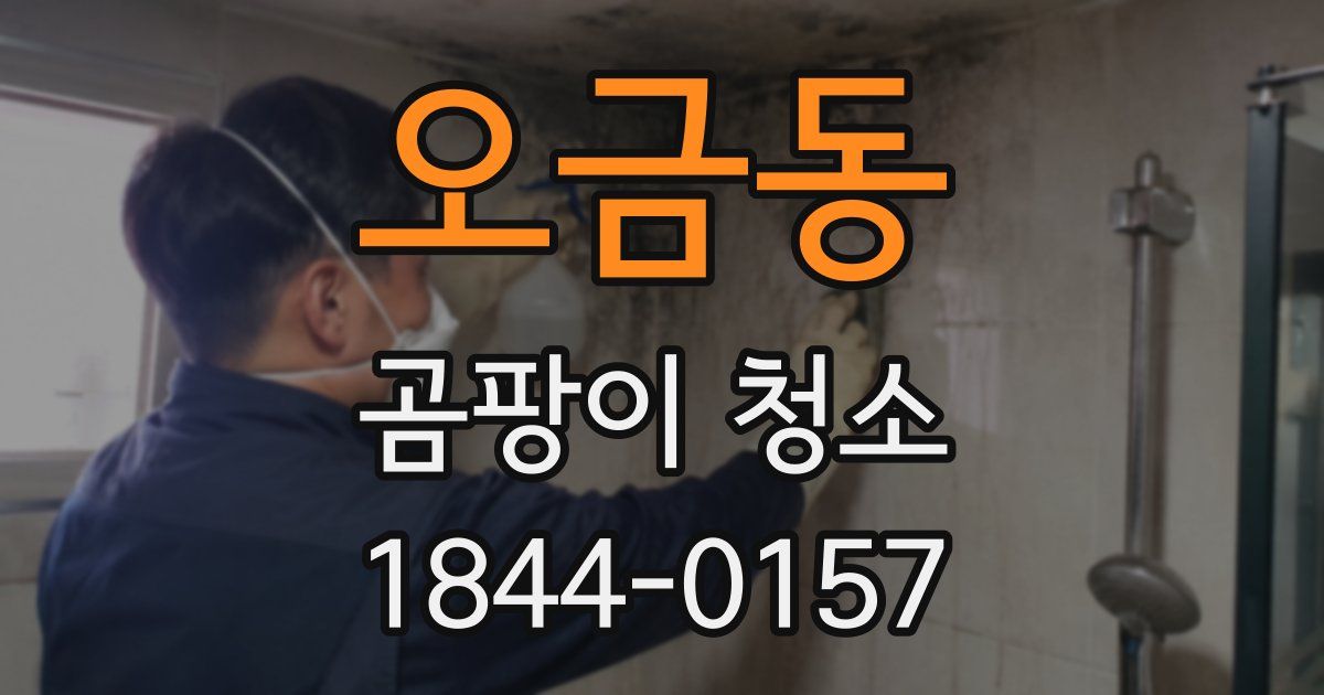 오금동 곰팡이 청소
