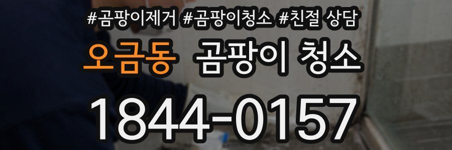 오금동 곰팡이 청소