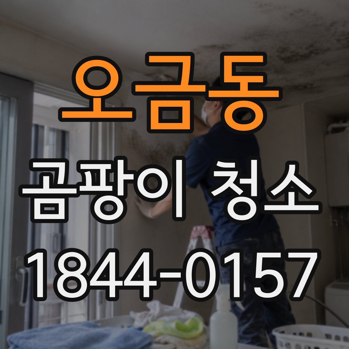 오금동 곰팡이 청소