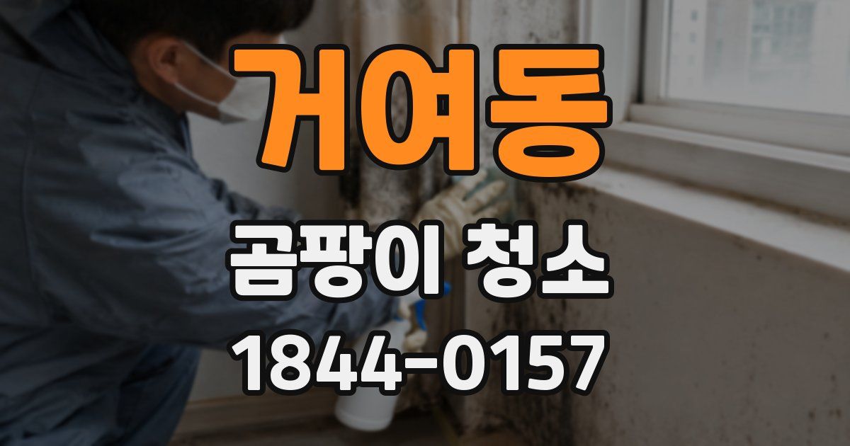 거여동 곰팡이 청소