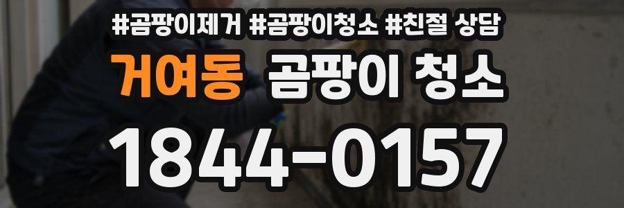 거여동 곰팡이 청소