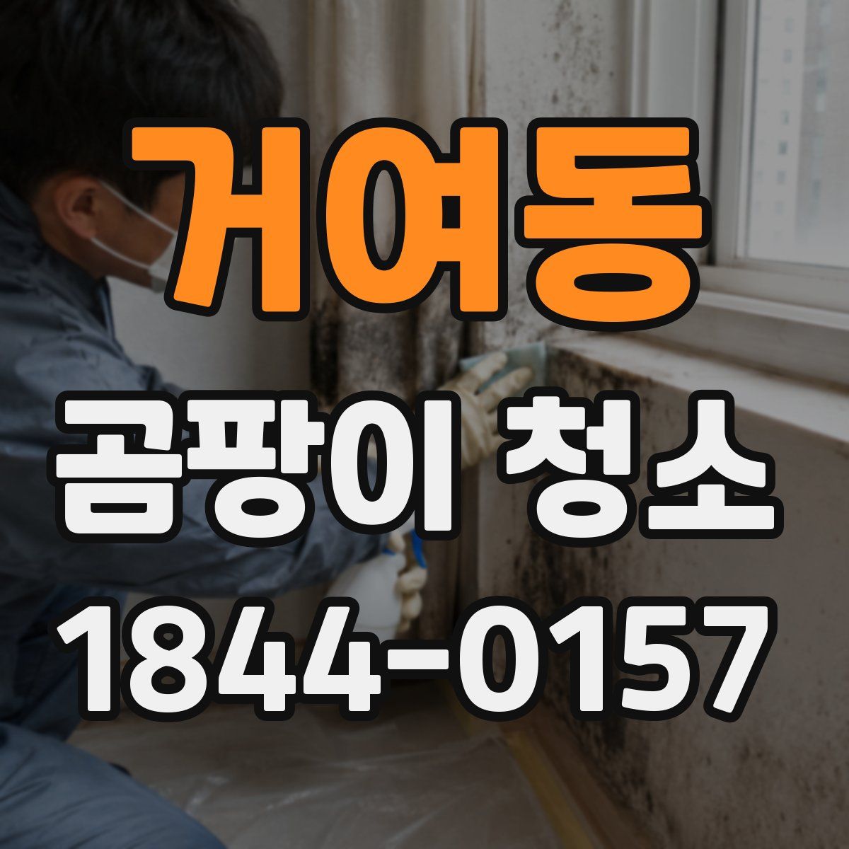 거여동 곰팡이 청소