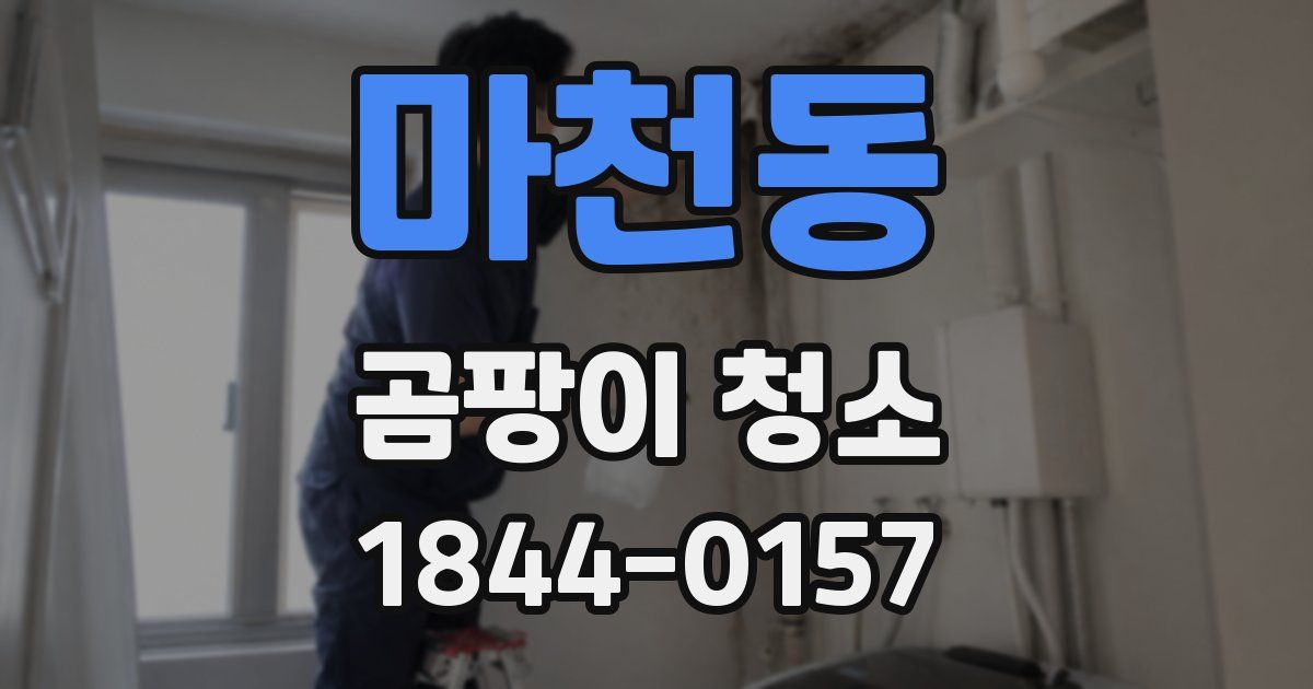마천동 곰팡이 청소