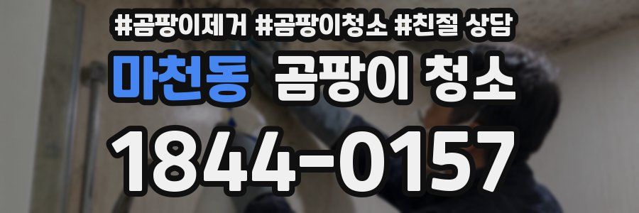 마천동 곰팡이 청소