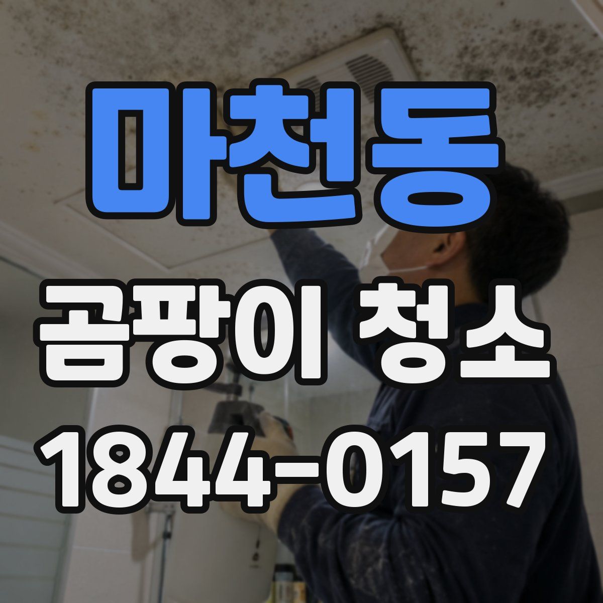 마천동 곰팡이 청소