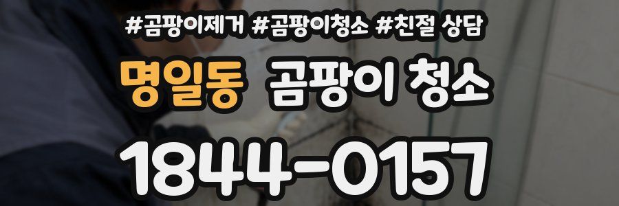 명일동 곰팡이 청소