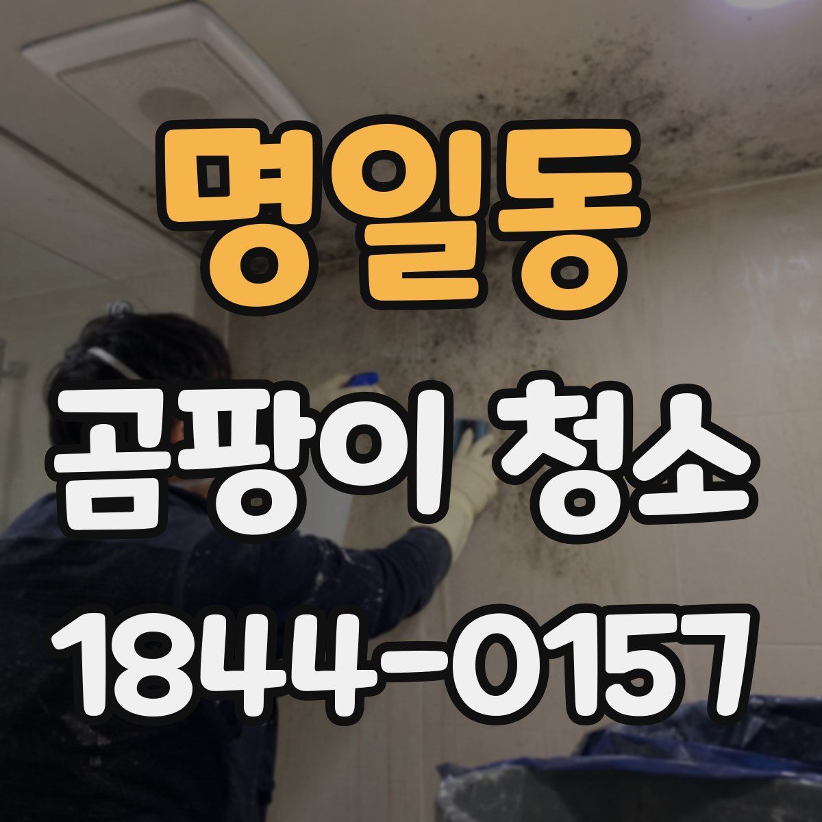명일동 곰팡이 청소