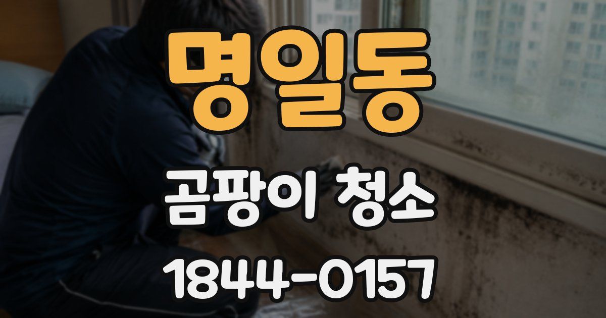 명일동 곰팡이 청소