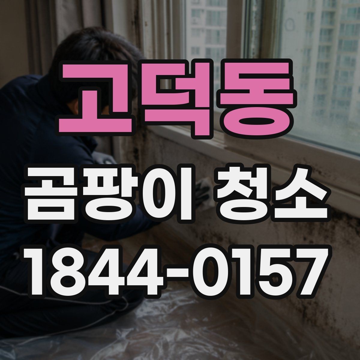 고덕동 곰팡이 청소 후 냄새 관리하는 방법