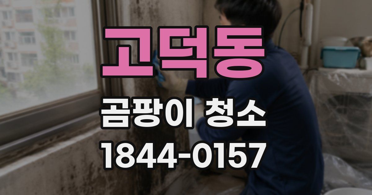 고덕동 곰팡이 청소