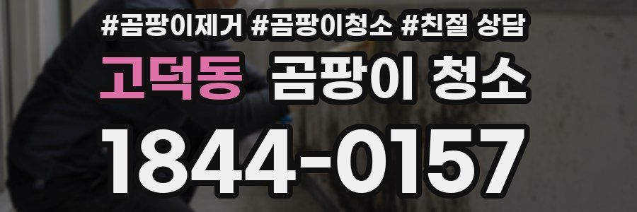 고덕동 곰팡이 청소