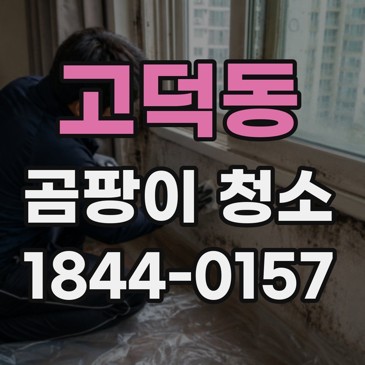 고덕동 곰팡이 청소